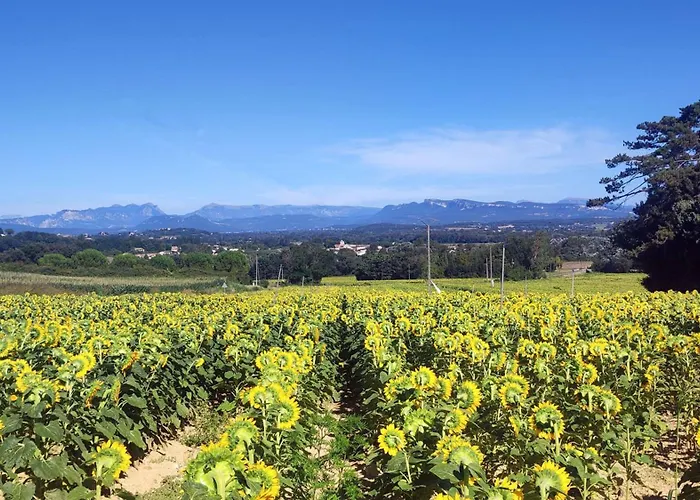Repos Et Tranquillite - Super Calme De La Campagne - Clim - Grande Piscine Partagee Au Sel - Deco Cosy Tout Confort - Proche Commodites